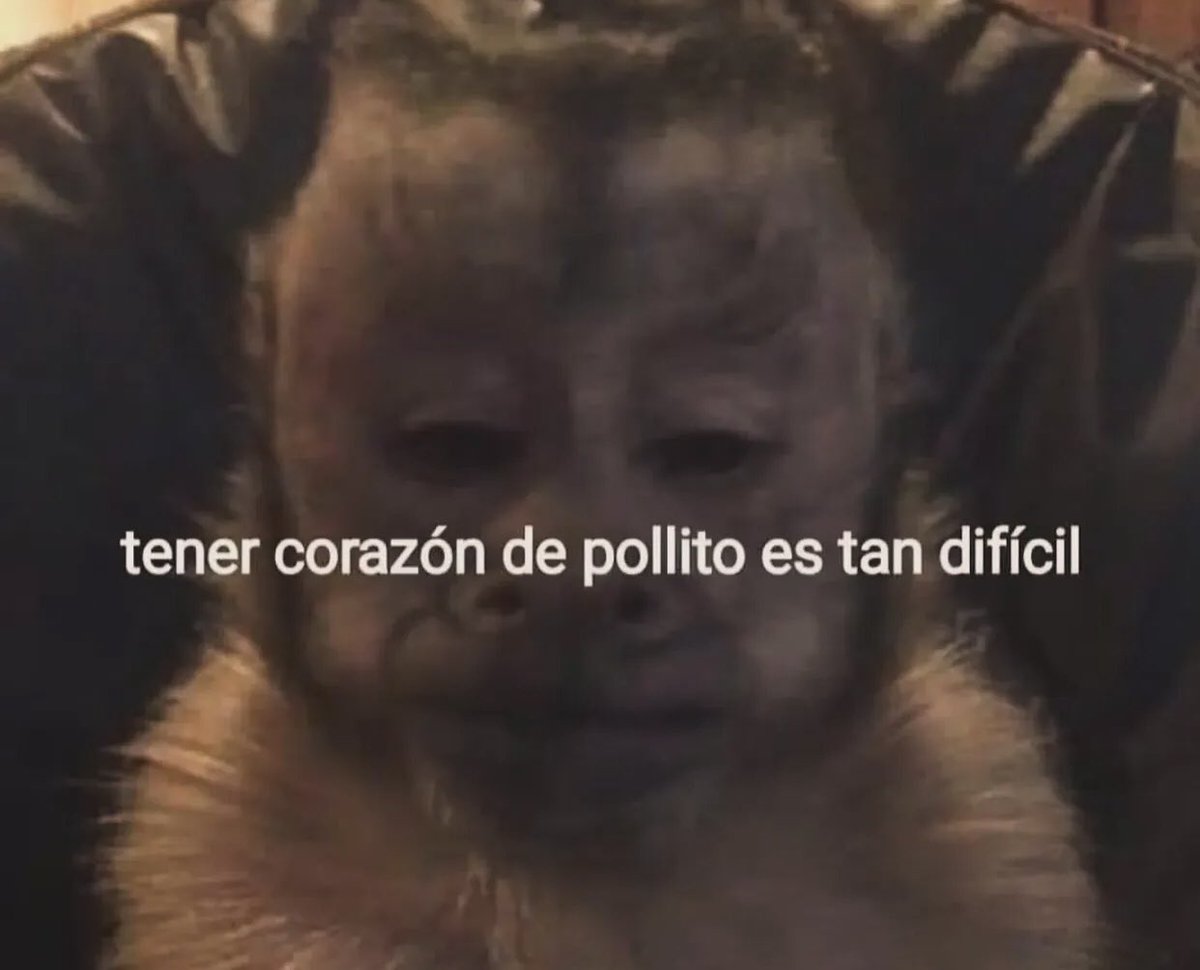 cxrrly's tweet photo. Mood https://t.co/iWjnWcrdYm
