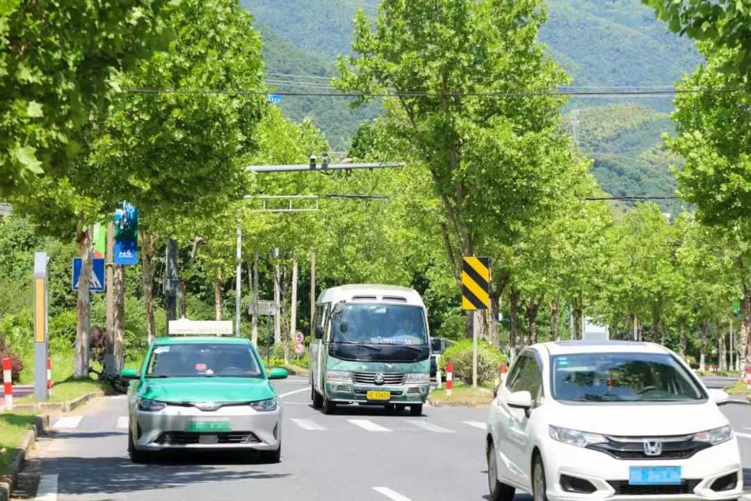 #Moganshan has launched two new outdoor-themed tourism routes named " #Kailas" and "#Spartan". These routes mark a new level in the area's tourism development, inviting #outdoor enthusiasts to explore the region's unique charm and enjoy the thrill of outdoor sports.#Deqing