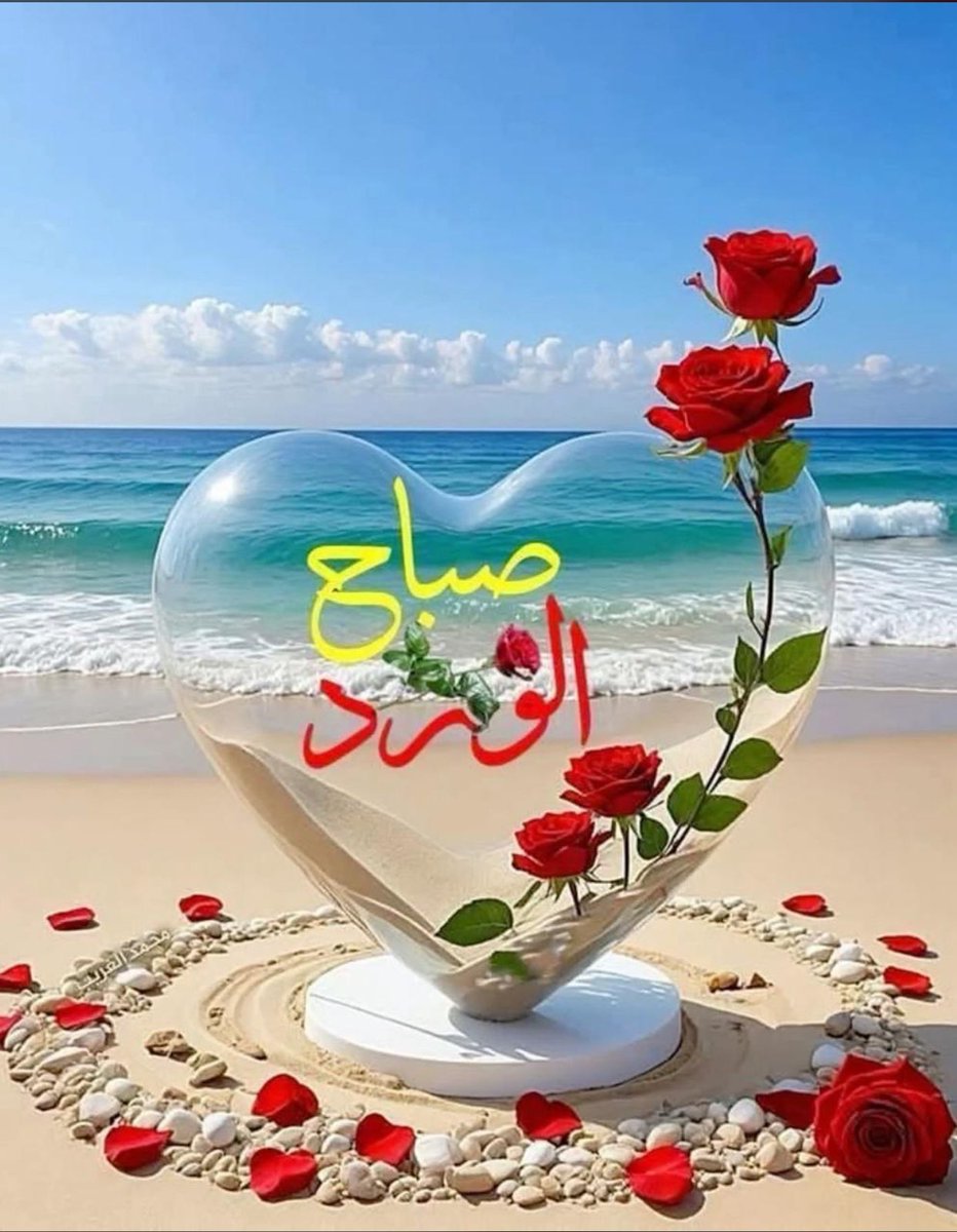 ضيف الشيباني (@dafo511) on Twitter photo 
