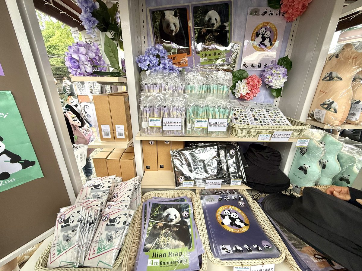 memi_tan's tweet photo. #シャオシャオ🐼#レイレイ🐼
４歳グッズ🎊

クッション２種、Tシャツ、サファリハット、手拭い、シャープペン、ボールペン、クリアファイル２種、タンブラー、キーホルダー、ポーチ２種、ミニトートバック２種、メッシュポーチ、ぷくぷくシール、ひみつメモと上野動物園が本気を出して来ました😄 https://t.co/IEqknXzWos