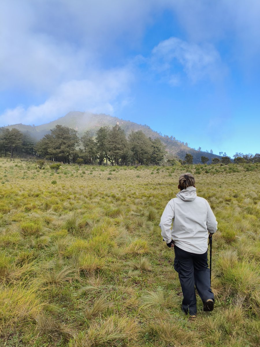 Hanzo Le Normand tweet media