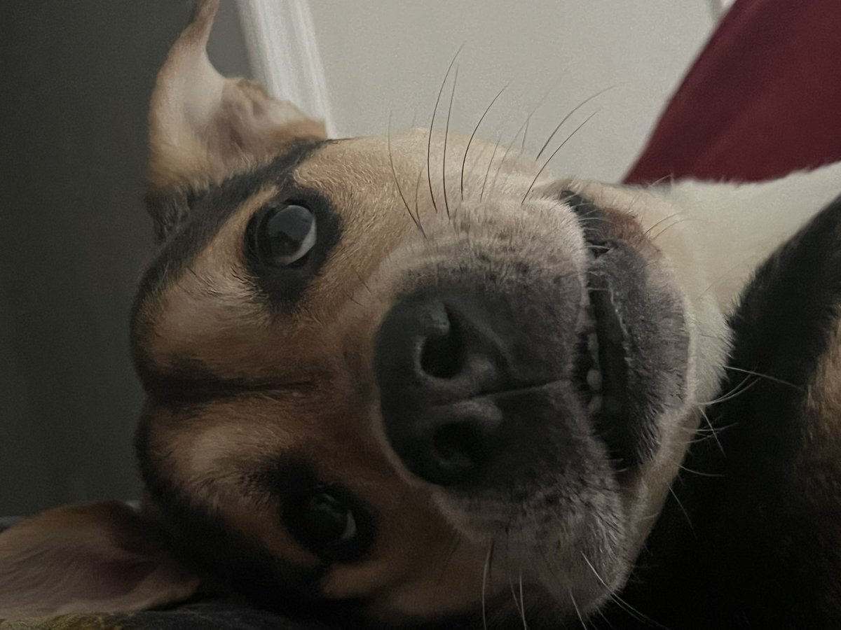 Gravity (@gravity_gv) on Twitter photo This heat wave is killing me This heat wave is killing me