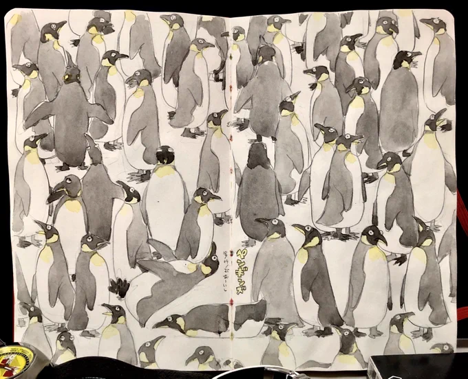 ペンギン観に行きたいねえ 