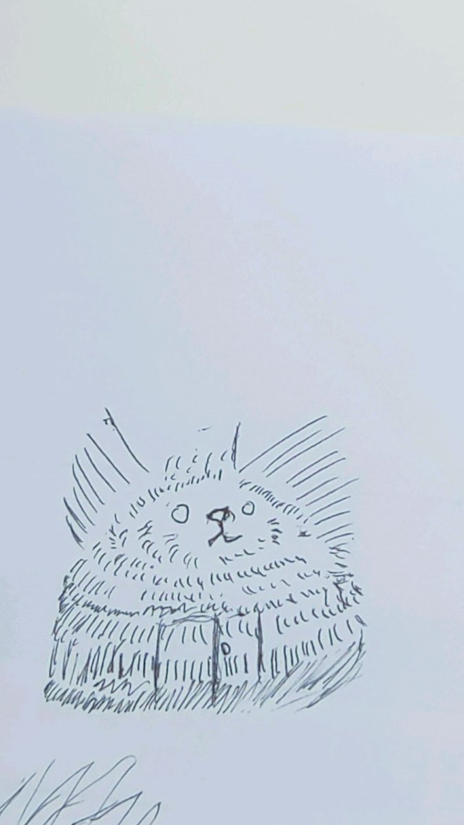 Tankyiscat's tweet photo. 퇴근하고 싶어요 https://t.co/Ar2ULsmcjY