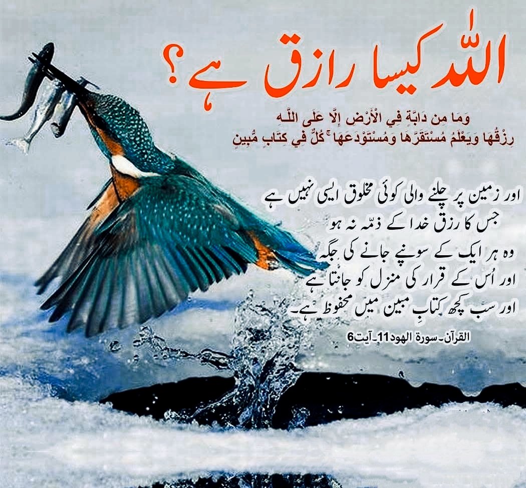 Faheem Kazmi (@faheemkazmi9) on Twitter photo 