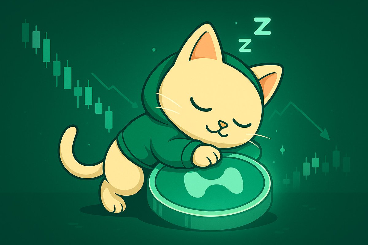 hypupu_hl's tweet photo. Hype dipped? 
We bought more. Then took a nap 🐾📉 https://t.co/VqMhfeAvlA