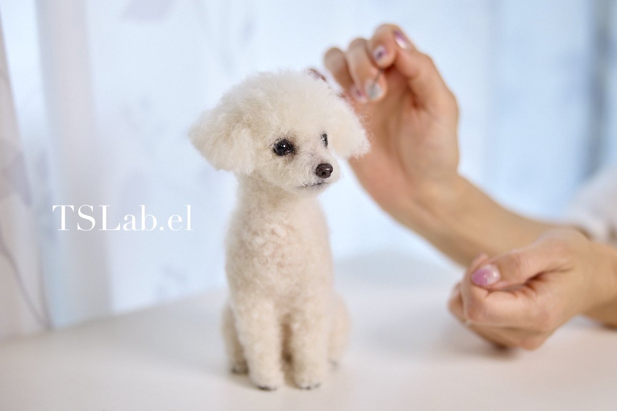 TrueStyleLab. 羊毛造形 (@Truestylelab) / X