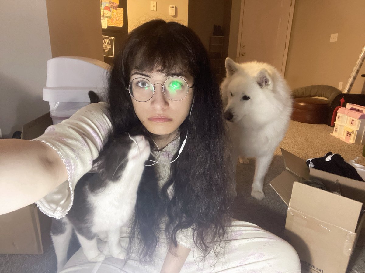 Bonniebelle Jade Harley (@nerdpunkpuppy) on Twitter photo 