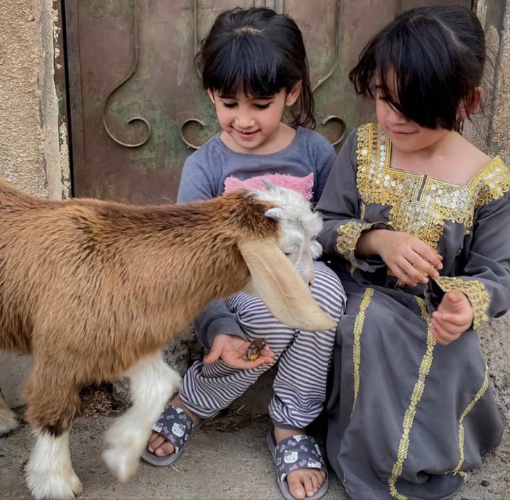 💞✨فطوووووومه🌟💞 tweet media