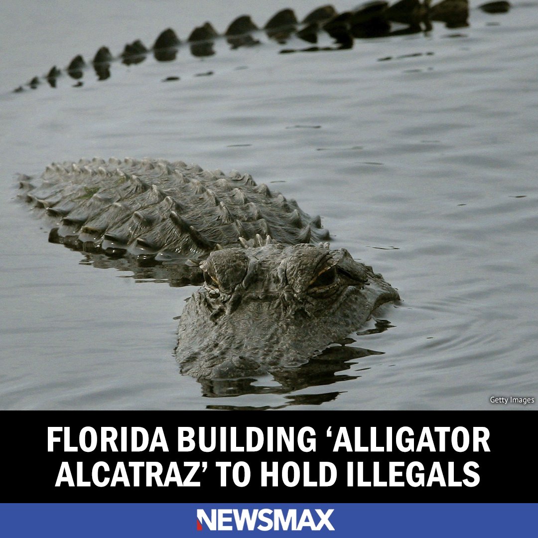 Florida is reportedly building an illegal immigrant detention center which the Sunshine State's Attorney General has nicknamed "Alligator Alcatraz." bit.ly/4nhkL9i