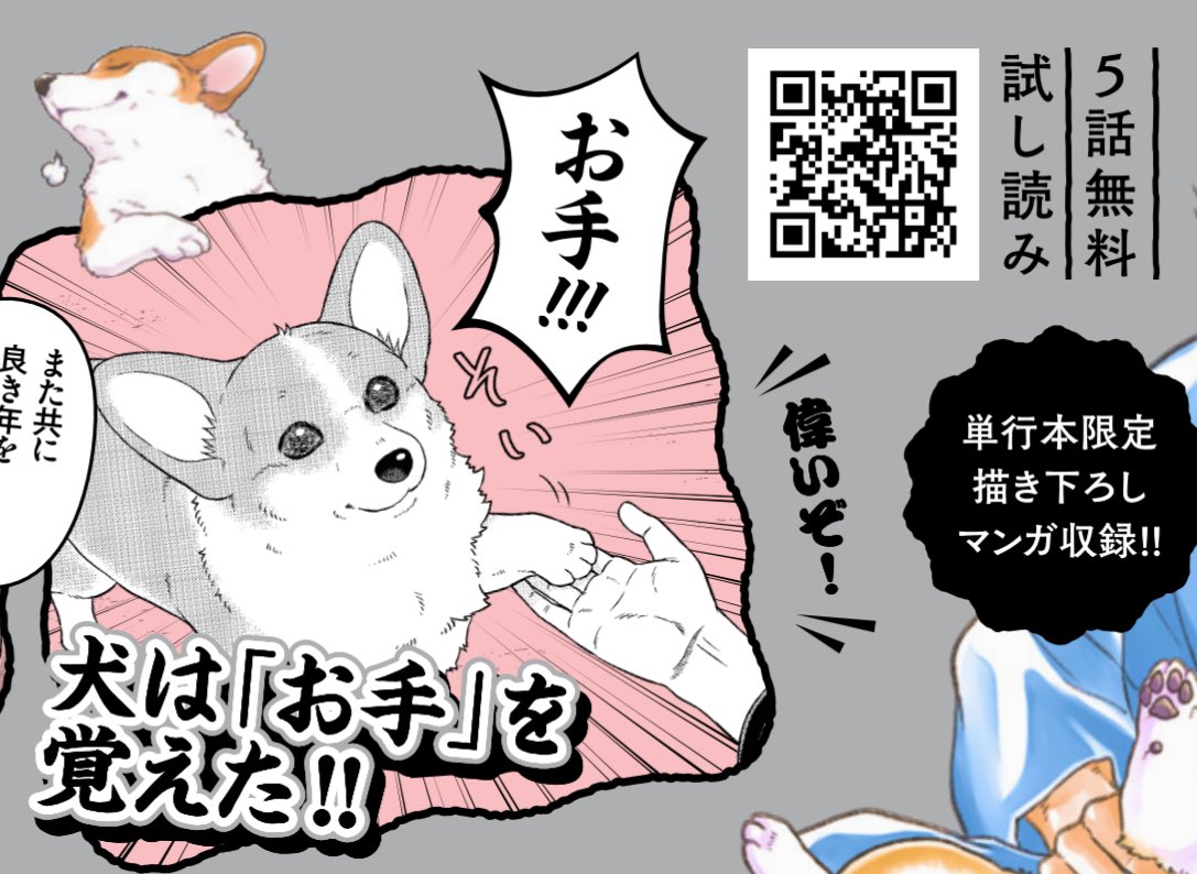 ✨7月15日に単行本⑤集発売✨

コーギーをひろった没落武士の話こと
『#殿と犬』（著：西田理英）
第5巻、7／15発売です！

描き下ろし漫画もあるし
犬は手を「そいっ」します🥳👌✨

🐶描き下ろしグッズ付き５巻限定版
（なんとサイン本が100名様に当たる！）
flex-comix.booth.pm/items/6904513