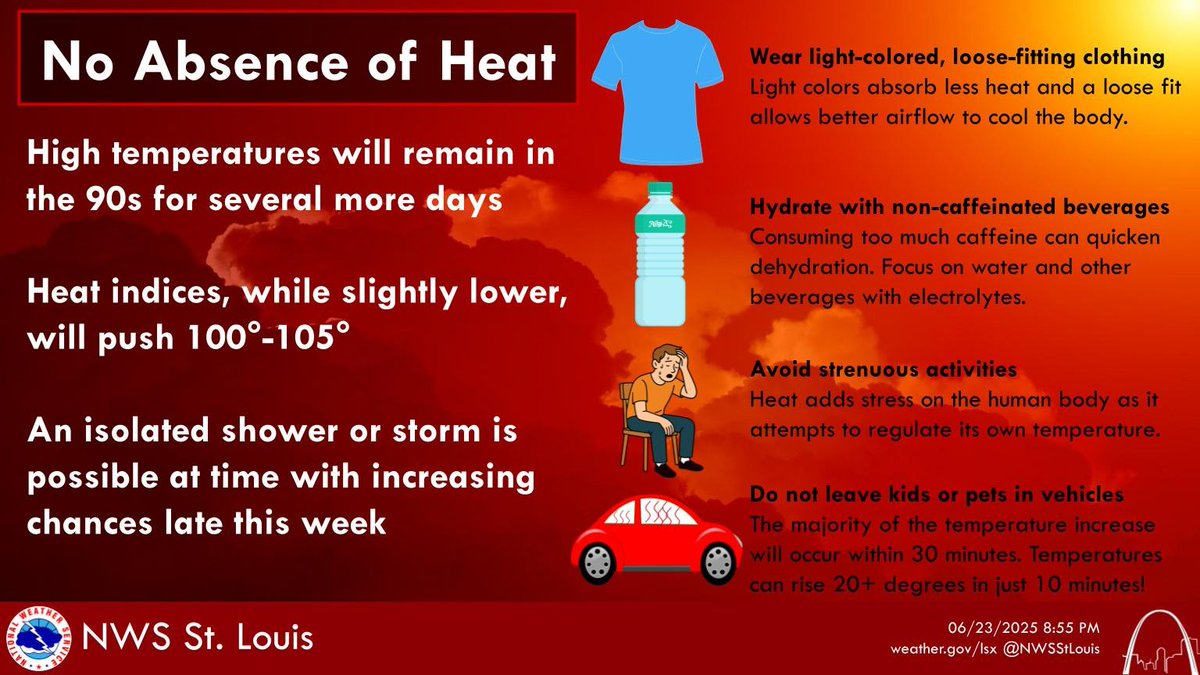 We would rather beat the heat than a dead horse, but it looks like we'll be doing both for several more days. High temperatures will remain in the 90s with heat indices of 100-105 for most areas. #mowx #ilwx #stlwx