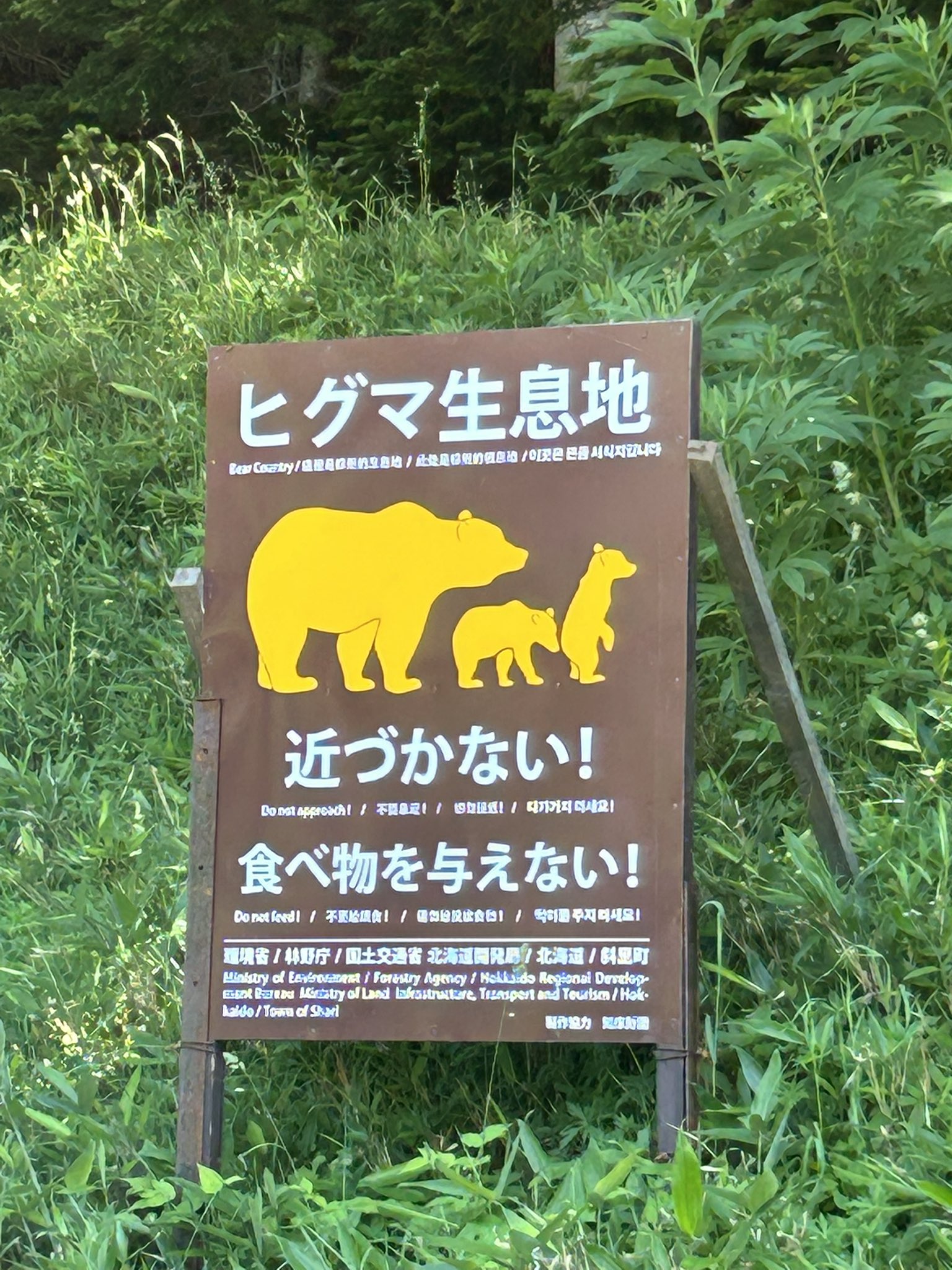 知床　残された神の土地 In-depth coverage] 