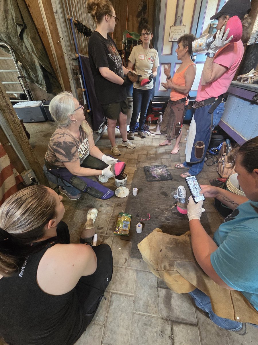 Doing something a little different on the weekend... Horse science 🐴🧬 with a barefoot trimming clinic. I don't think I've learned this much anatomy since grad school 😂 Truly my favorite part of this sport is just how much there always is to learn