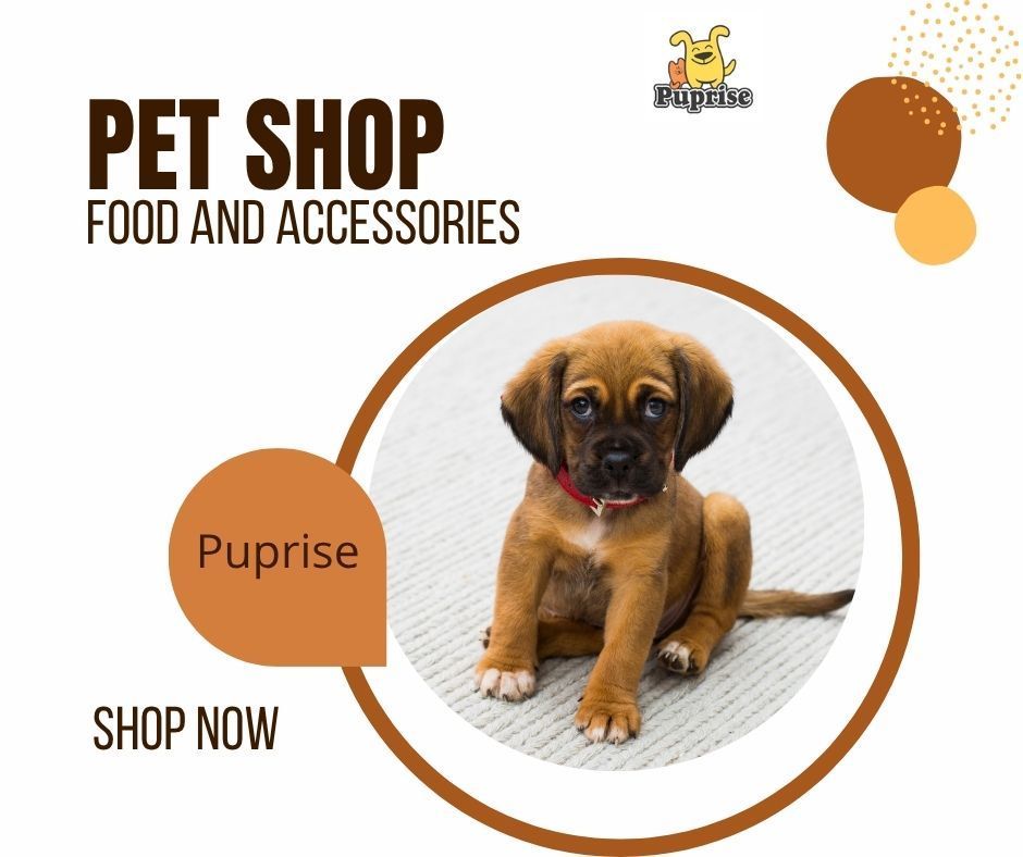 PupriseBox's tweet photo. 🐶 Your One-Stop Pet Shop is Here!
From food to accessories, everything your furry friend needs is now just a click away!
🛍️ Shop now at https://t.co/uLYI93nzw9
Because they deserve the best! 💖
🔖 #PuprisePets #PetShopIndia #DogAccessories #PetFoodOnline #HappyPetsHealthyLife https://t.co/emAeCE4xBc