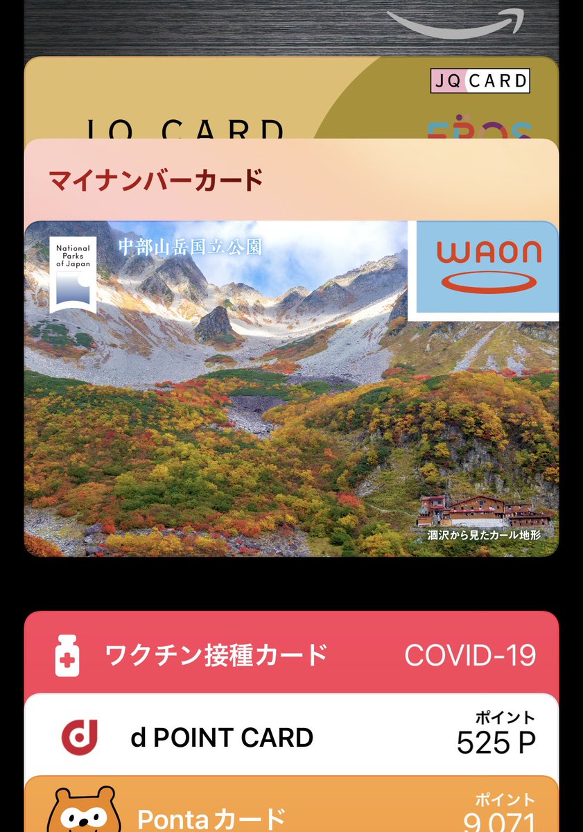 マイナンバーカード、
Walletの一番前には置けないんですね