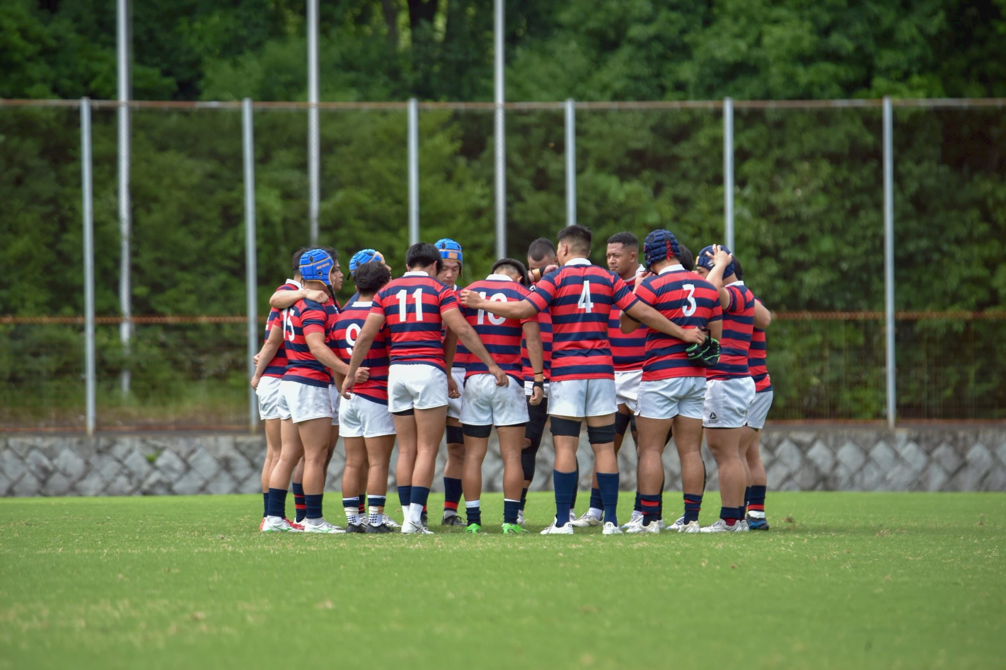 楽天市場】SUZUKI RUGBY スズキ ラグビー 京都産業大学