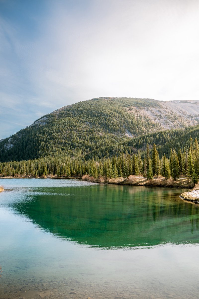 Before and after 🫱🏻‍🫲🏾

#photograghy