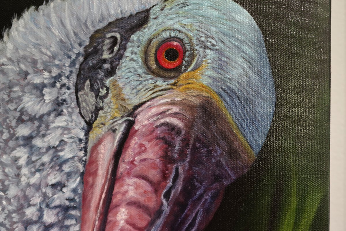 EblingPhoto's tweet photo. One Big Bird...! Check out my Roseate Spoonbill Original oil Painting 15x30 signed on my Ebay Shop https://t.co/9ERV69ElcL #eBay via @eBay 

One of my favorites.!

#oilpainting #natureart #handmade #AnimalLovers https://t.co/0d0pmGlqx3