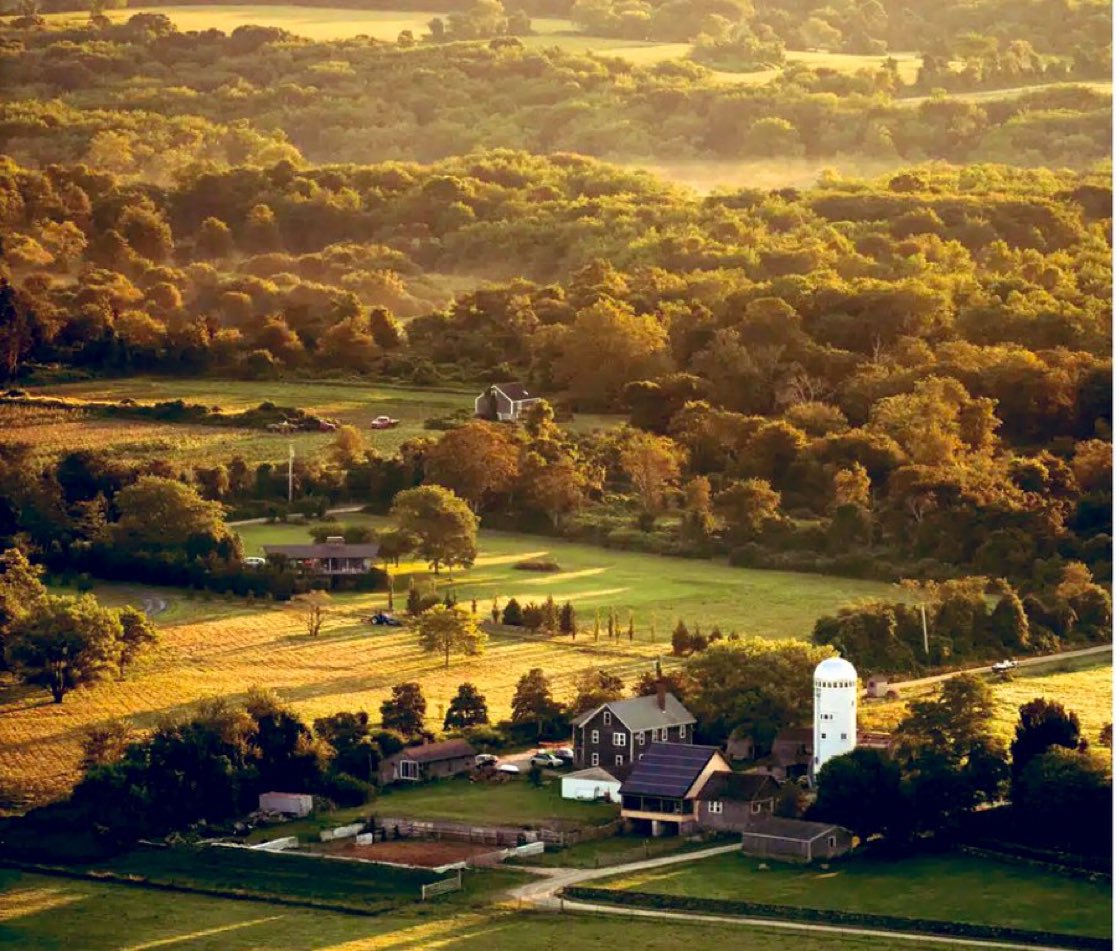 The_HoneyDews_'s tweet photo. 💚🧡——  Honeydew Farm  ——🧡💚

   A place where all are welcome to relax   
            and enjoy the countryside!

🍁   Heavy Lewd and Taboo content    🍁

🍃        Literate/Semi-Literate RP’s        🍃

🍁  ABSOLUTELY NO ONE UNDER 18 🍁

                ⬇️More info below ⬇️ https://t.co/6blYLcwU8s