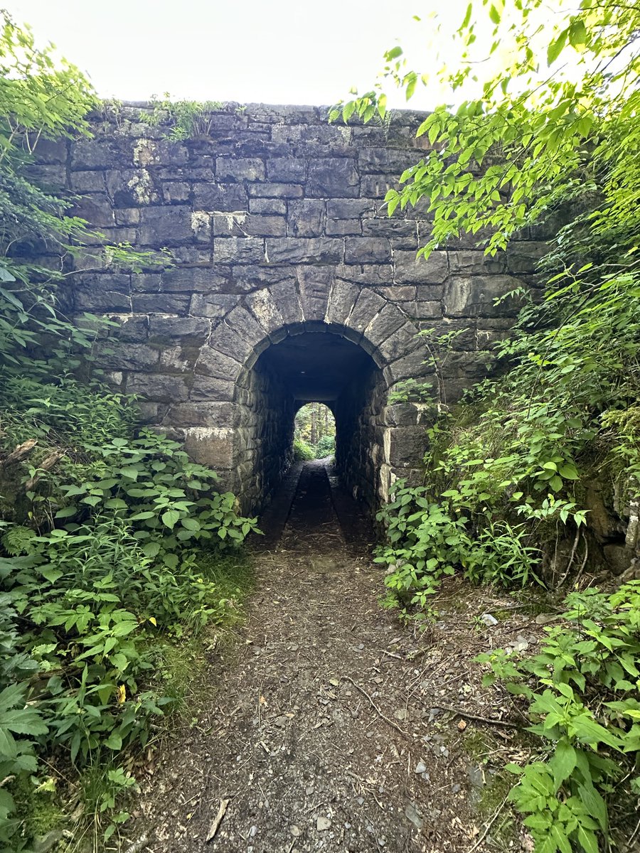 goscientist1995's tweet photo. We found the “secret” tunnel at Kuwohi today. https://t.co/0afo4Jy7Yl