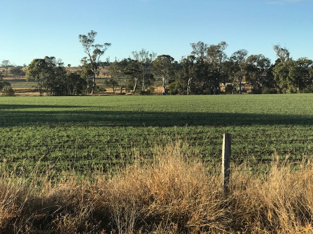 <a href="/AUSVEG/">AUSVEG</a> is encouraging vegetable growers to make the most of a new online resource that puts a wealth of productivity-enhancing R&amp;D info at your fingertips.

Access the #KnowledgeHub at ausveg.com.au/knowledge-hub/

#VeggieGrowers #AgriInnovation #FarmProductivity #RuralResources