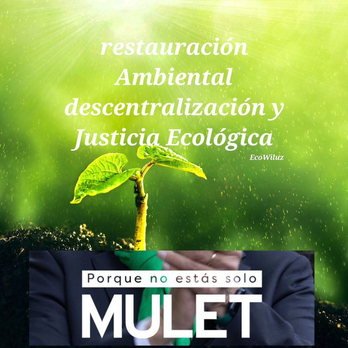 EcoWiluz Buen Vivir tweet media
