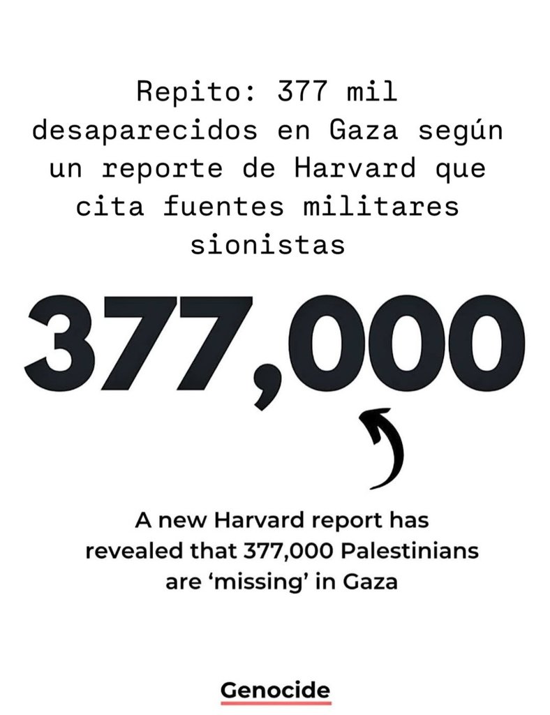 🇵🇸👉377.000 mil desaparecidos Palestinos en la Franja de Gaza 

Esto es un GENOCIDIO