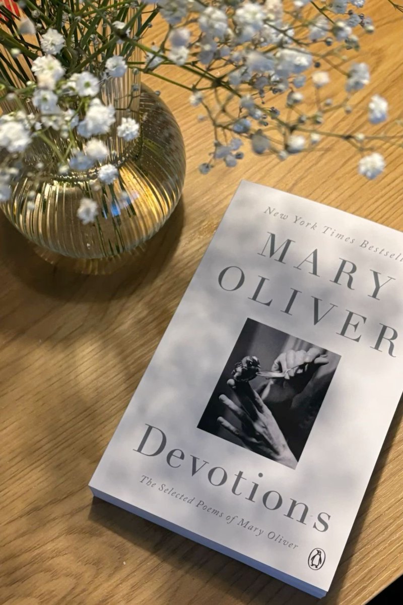 spending a lot of time thinking &amp; reading 📚🩵🤍

“So, be slow if you must, but let
the heart still play its true part.
Love still as you once loved, deeply
and without patience. Let God and the world
know you are grateful.
That the gift has been given.” - Mary Oliver