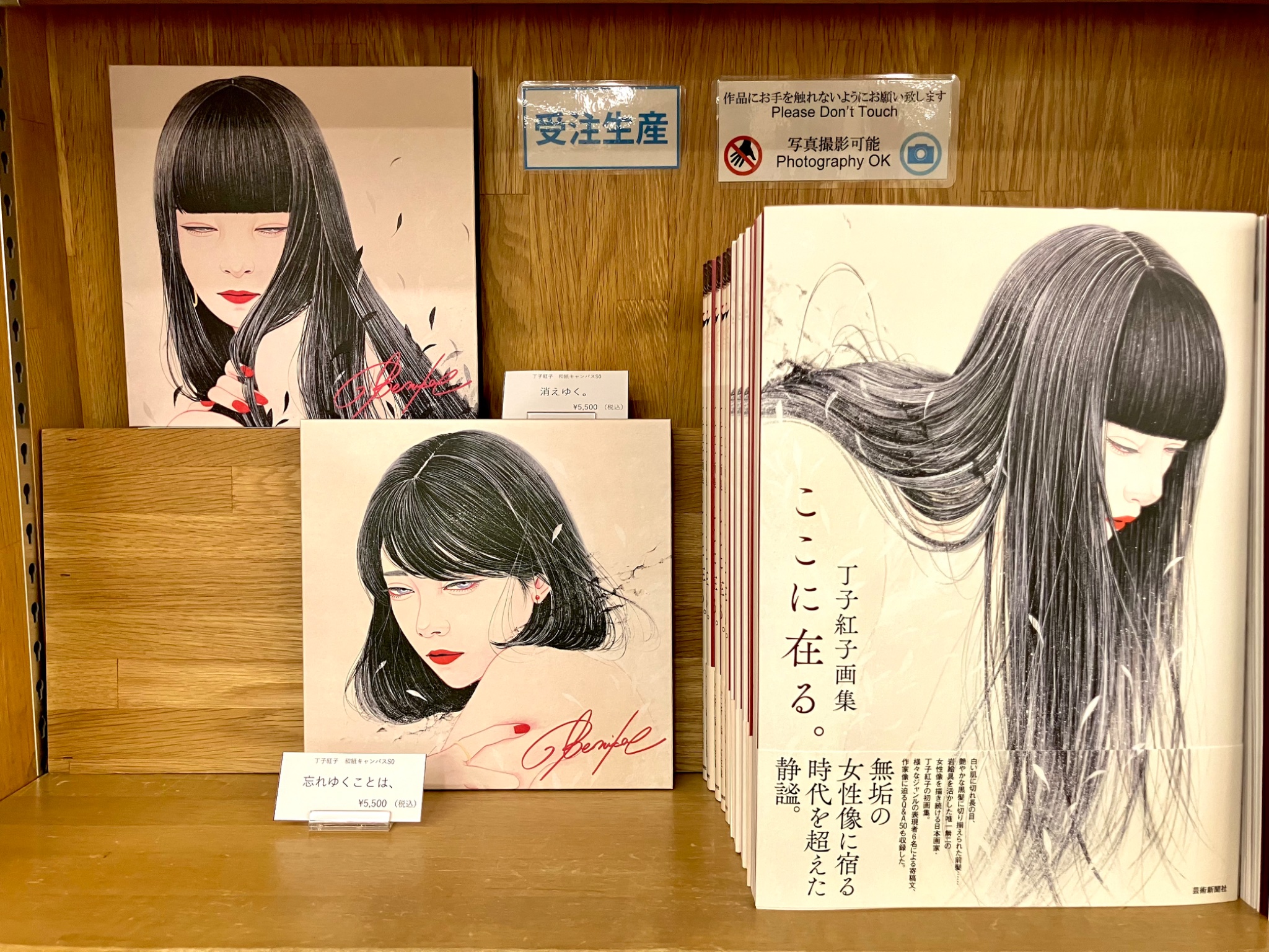 数量限定サイン本】丁子紅子画集 ここに在る。 | geishin