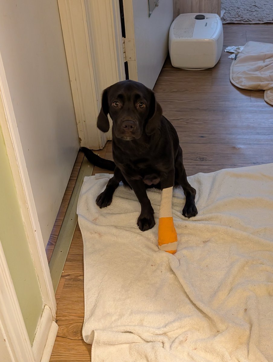 Bottomless Pit Supervisor tweet media