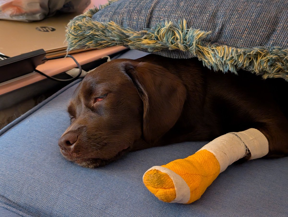 Bottomless Pit Supervisor tweet media