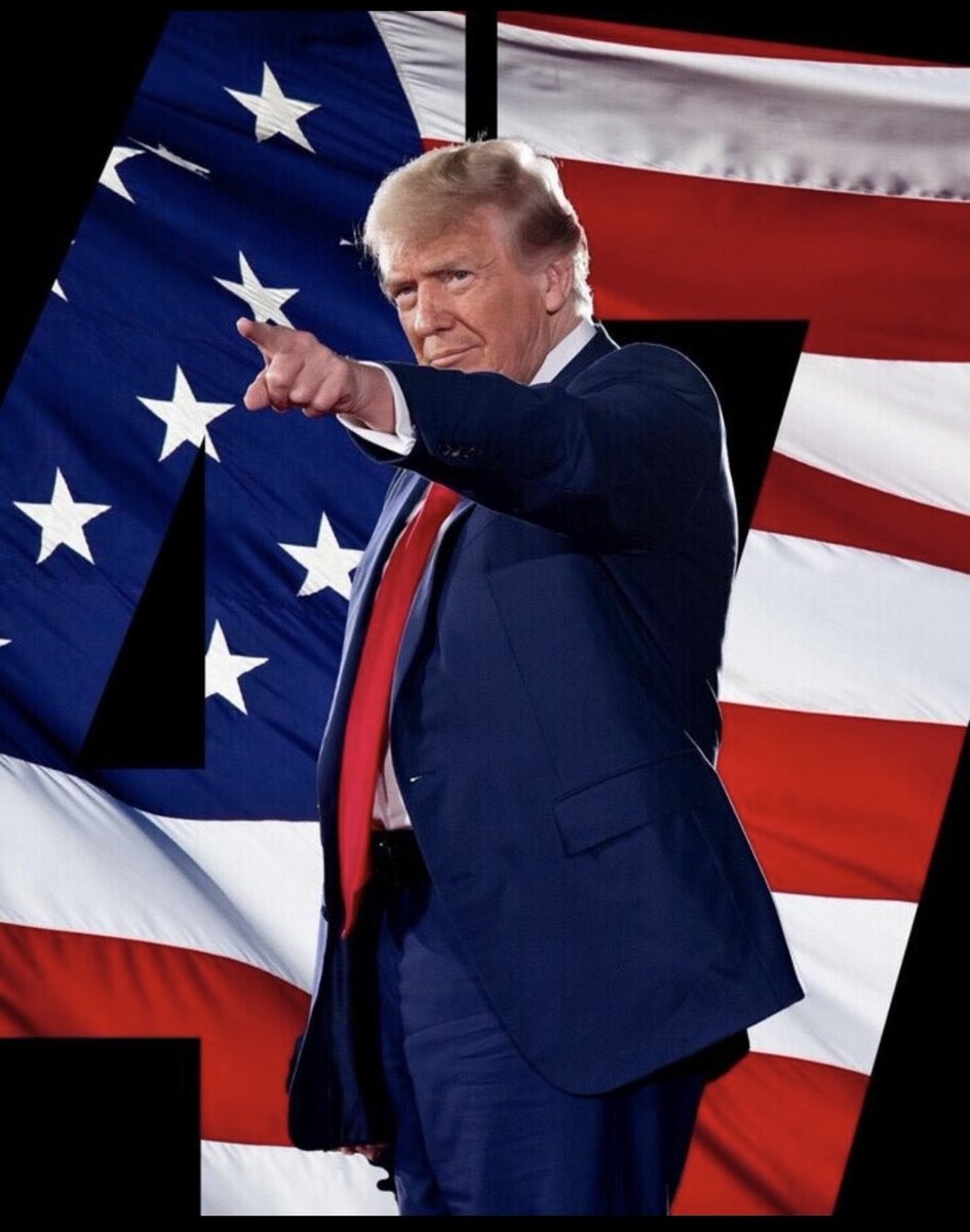 🇺🇸🤠 tweet media