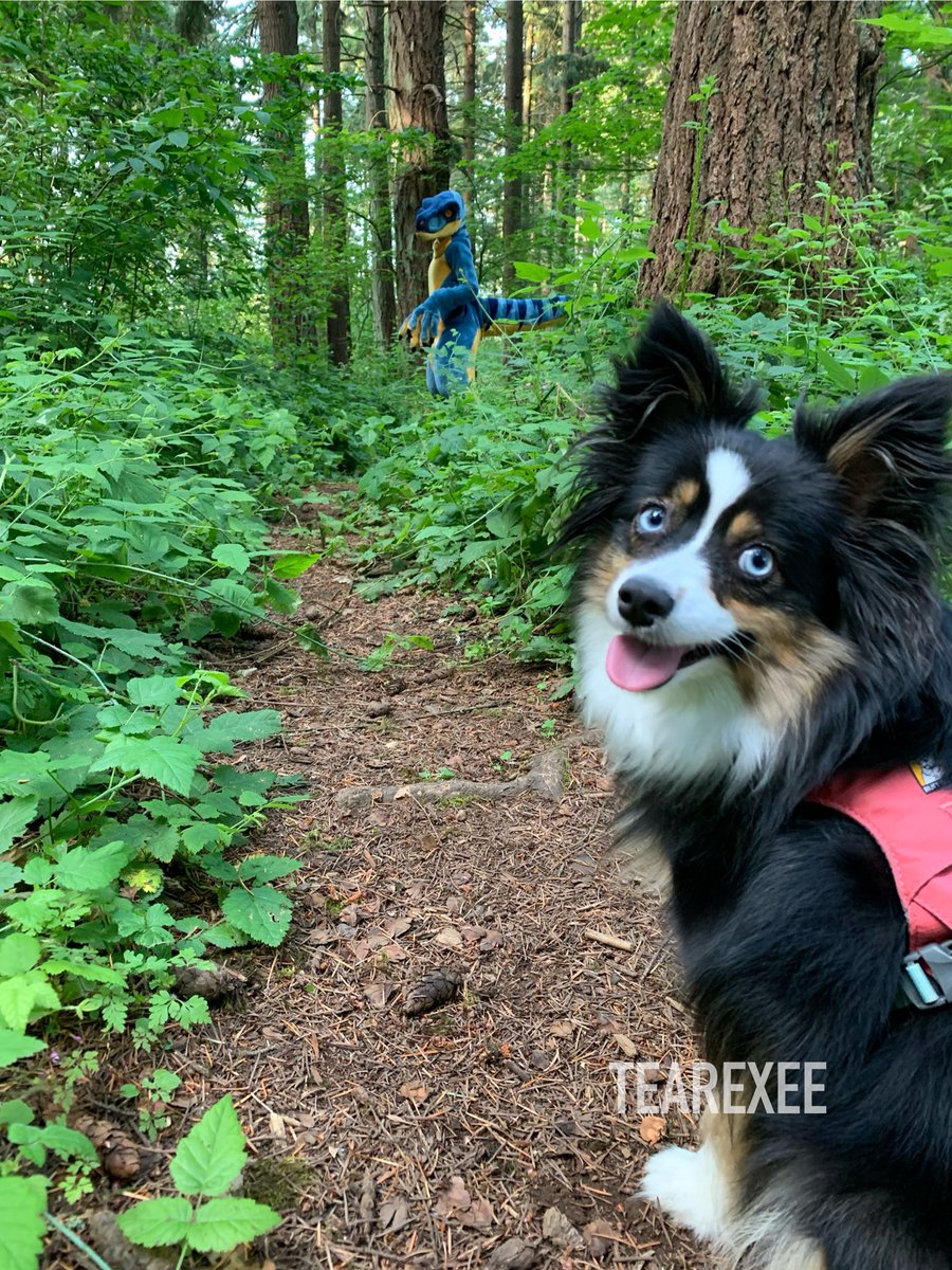 Took Muse to the park and had a photoshoot✌🏽❤️