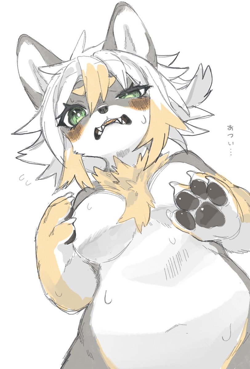 【再掲】暑いね