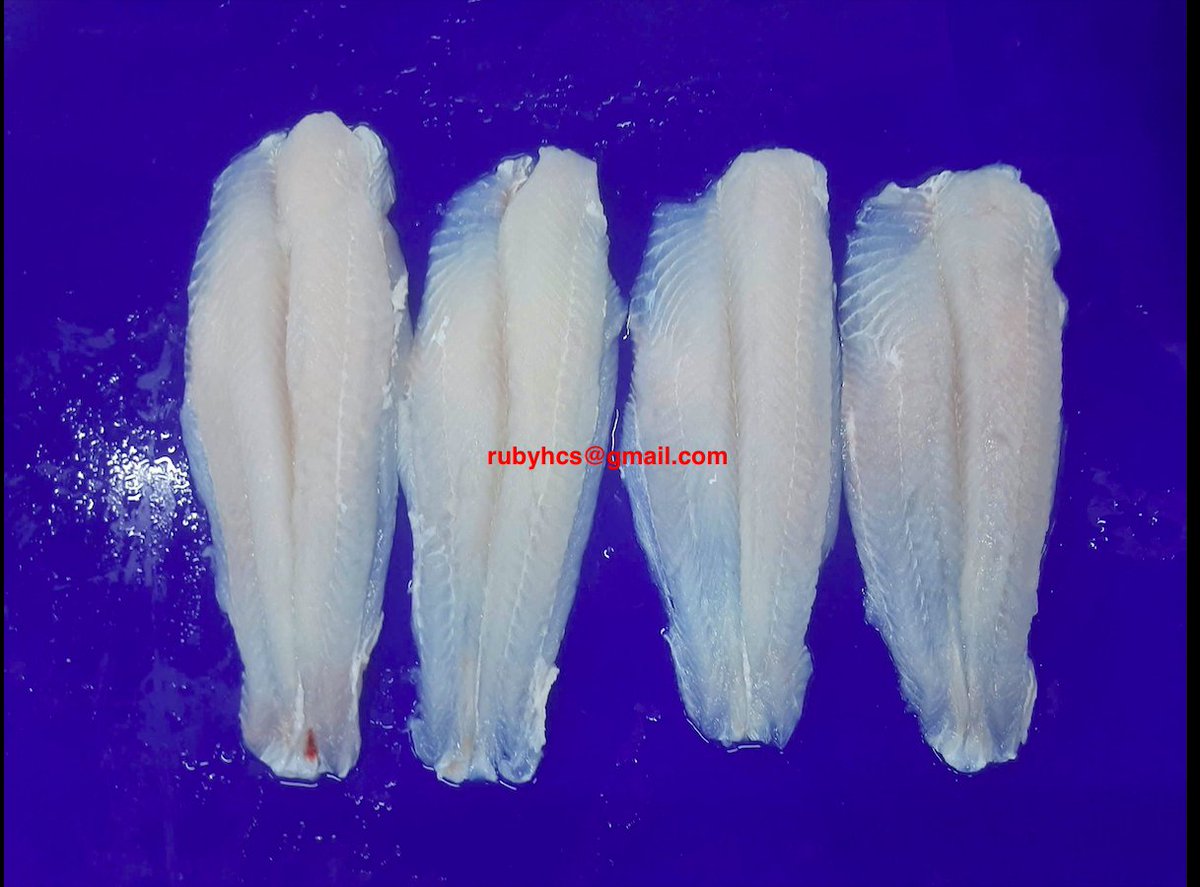 DalatRuby's tweet photo. 🇻🇳🐠🐟Frozen Pangasius fillet --Origin of VietNam . 
💥🔥Well trimmed , Small size 🌈⭐️
💰🎁 Size 60-120gr, 120-170gr 🎁📦 
🟧🟨 Packaging : As per your inquire 
🛳⛴ Good quality. Good price 🚢🚢
Welcome your orders ‼️
✅🆗🆗🆗🆗🔴🟡🟠 https://t.co/F58faLklw5