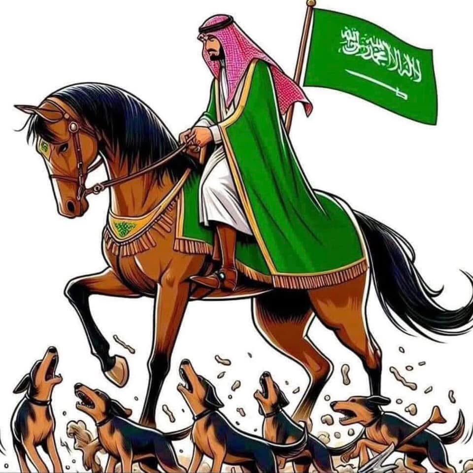 zyadzn's tweet photo. اللهم أعز 
 #المملكه_العربيه_السعوديه
وادحر أعدائها وزدهم غبناً وحقداً 
..
انتهت الحرب وانتهت اسطورة القوة التدميرية لإيران وأسطورة القبة الحديدية لإسرائيل 
والمملكة تزداد نمواً وعزة وأعدائها يتساقطون واحد تلو الأخر ..
اللهم لك الحمد كما ينبغي لعظيم وجهك وجلال سلطانك أن يحمد https://t.co/w0F4TLWDof