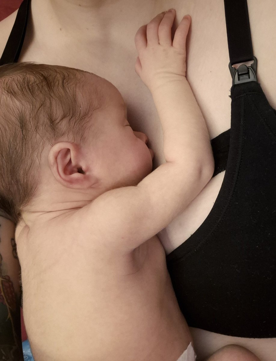 Claudia 🍉 tweet media