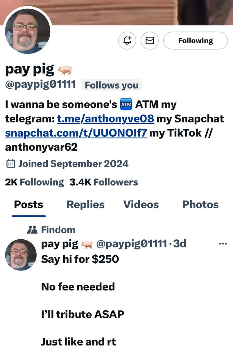 PwdrPinkk's tweet photo. ⚠️ Another FAKE #Paypig with over 3K followers 🤡 Real piggies don’t ask for fees! They send no questions asked‼️ #Godswork #Findom #ScamAlert https://t.co/hIqkIpcS77
