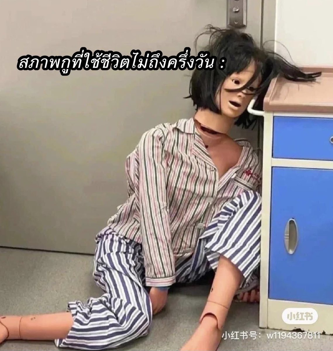 sfkkfs_'s tweet photo. รีวิวสภาพกุในแต่ละวัน : https://t.co/Ldtq2qid33