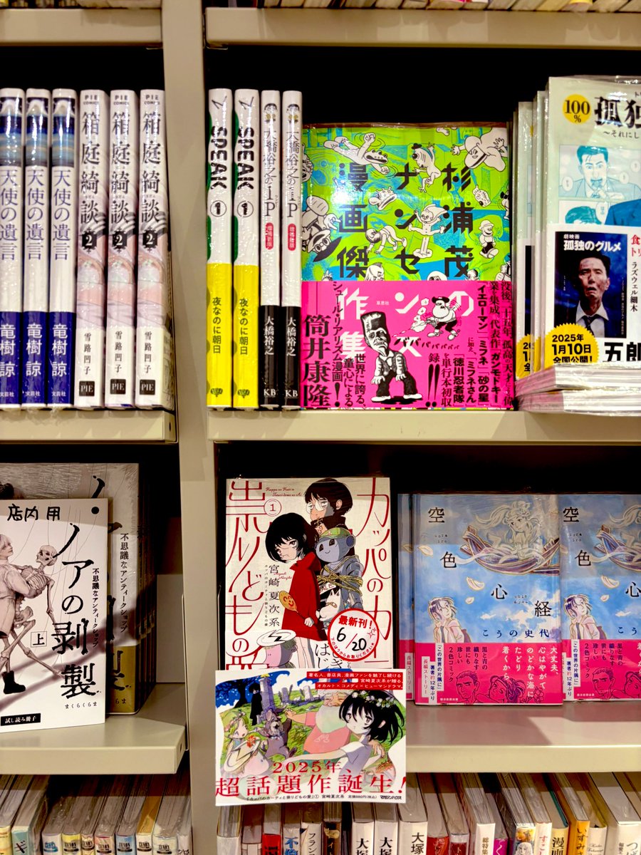 東京・丸善 丸の内本店さま
コミックコーナーにて
『カッパのカーティと祟りどもの愛』1巻
ご展開いただいております。
ご近所の皆さまにお手にとって
いただけたら嬉しいです。