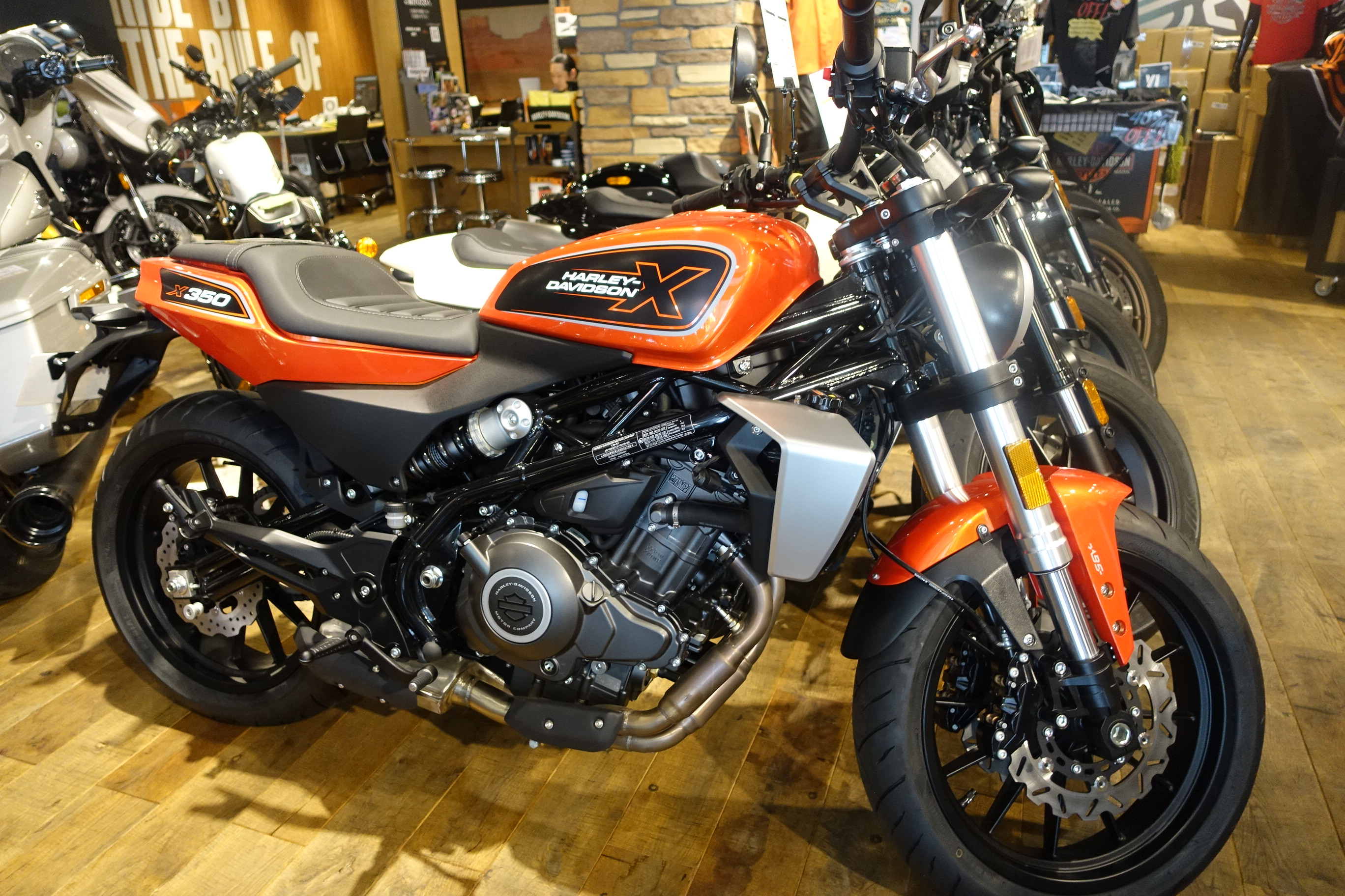 1979FXSローライダー入庫！JOINTS御礼など【Shovelhead ショベル