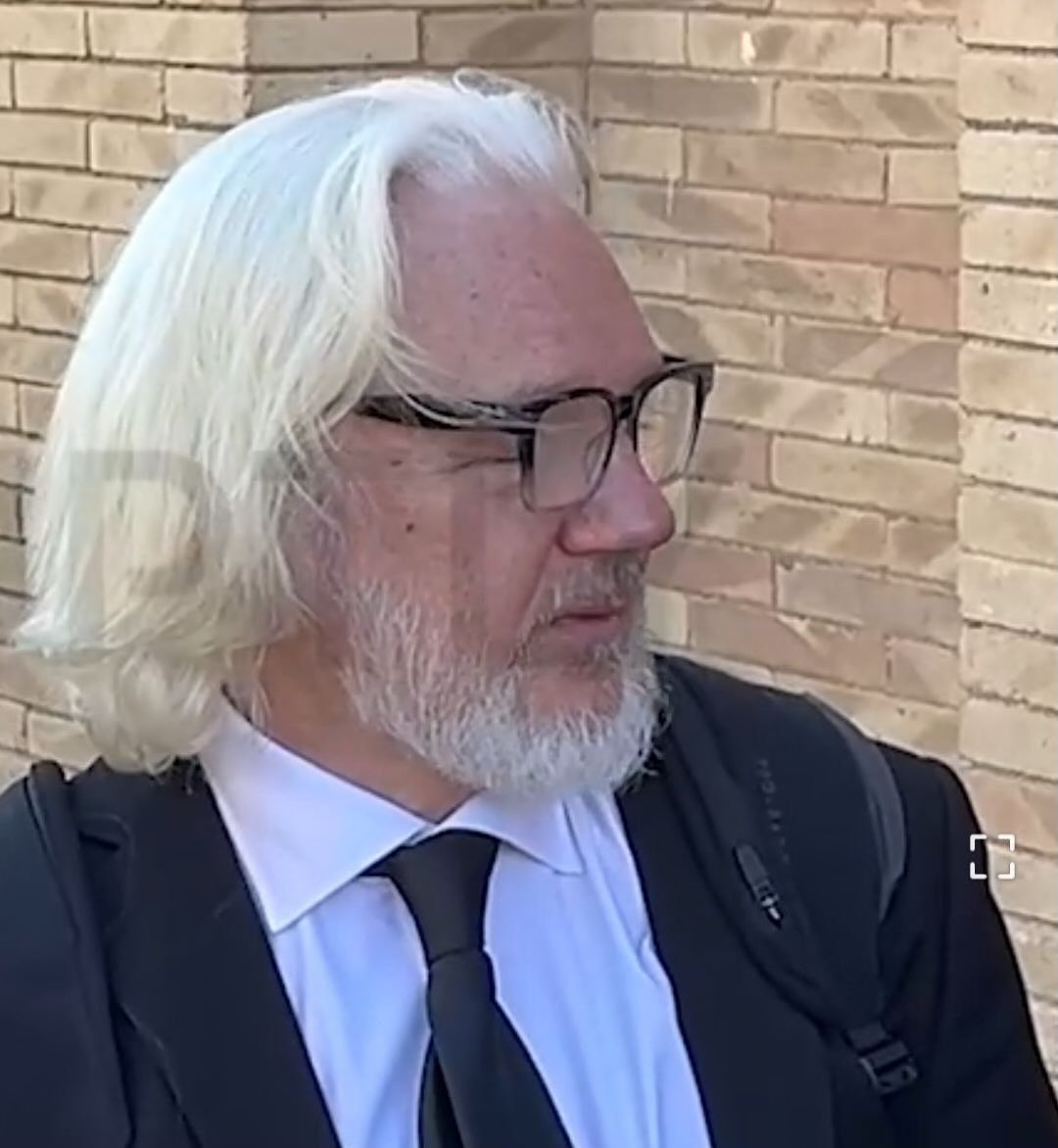 Julian Assange s'exprimant en 2011 : 

« L'objectif est d'utiliser l'Afghanistan pour laver l'argent des assiettes fiscales des États-Unis et de l'Europe via l'Afghanistan et le remettre entre les mains d'une élite de sécurité transnationale. L'objectif est une guerre sans fin,