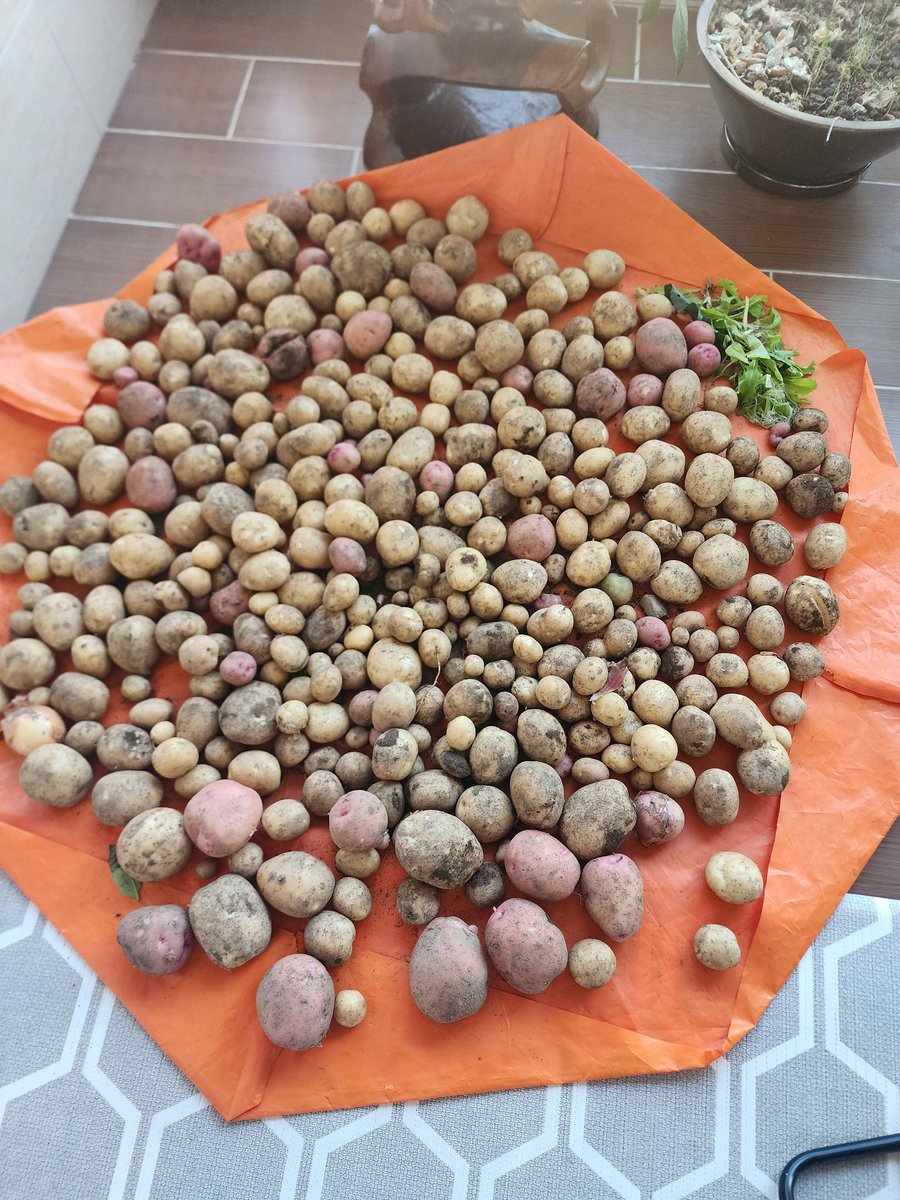 최대포 (@zzanzee) on Twitter photo 