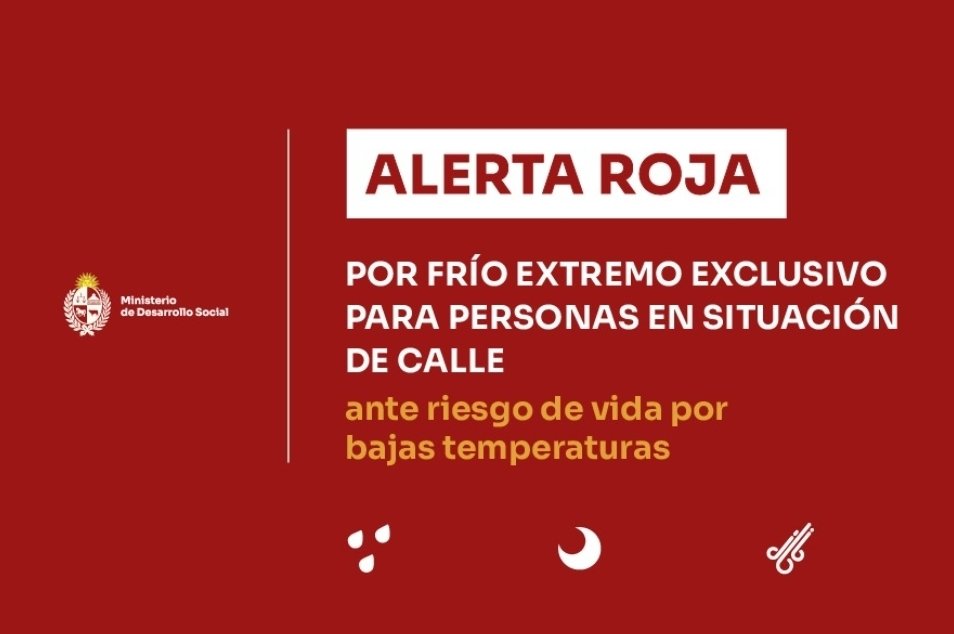 Nico Lasa tweet media