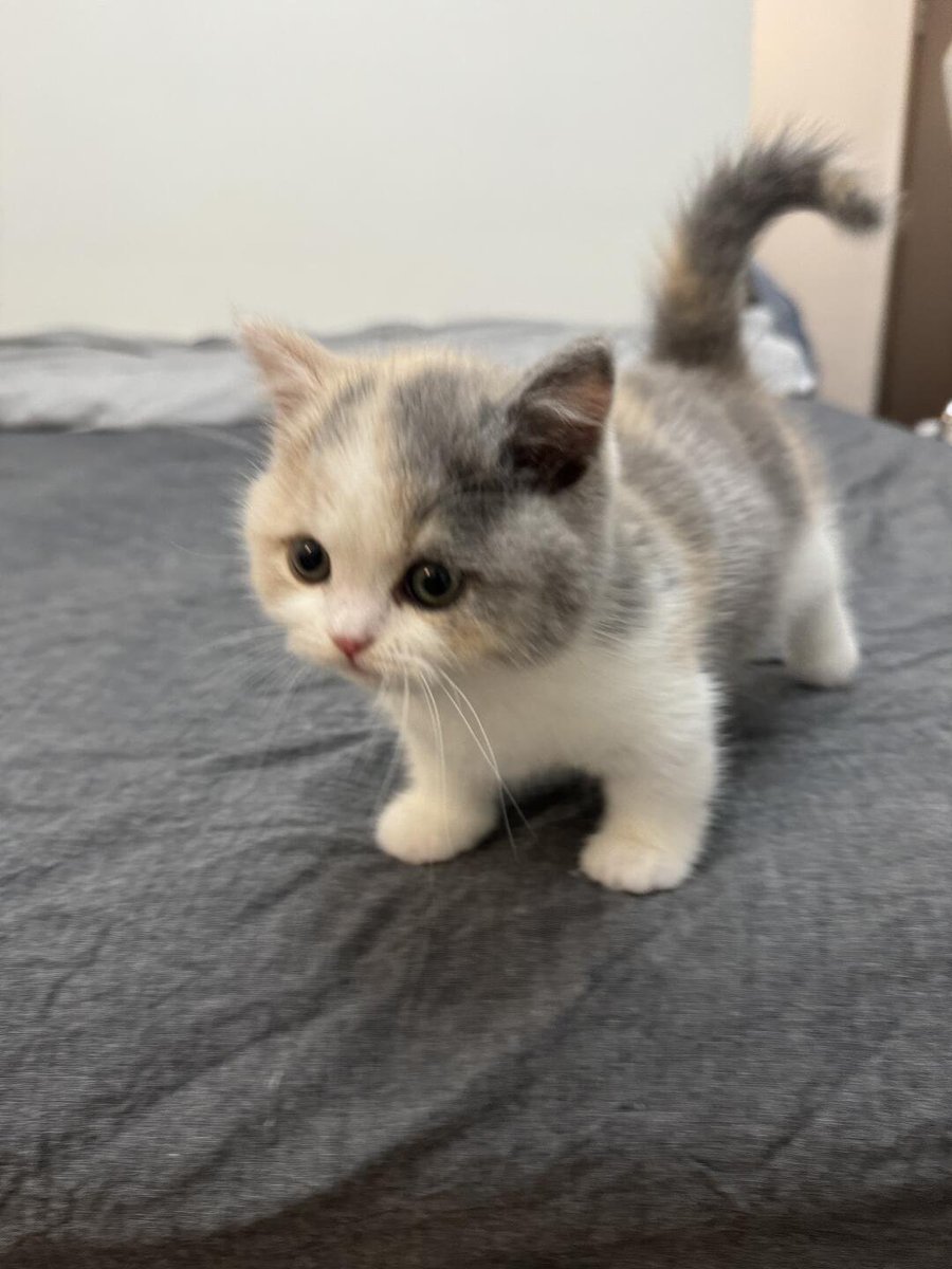 彼の名前はマモちゃんです😻