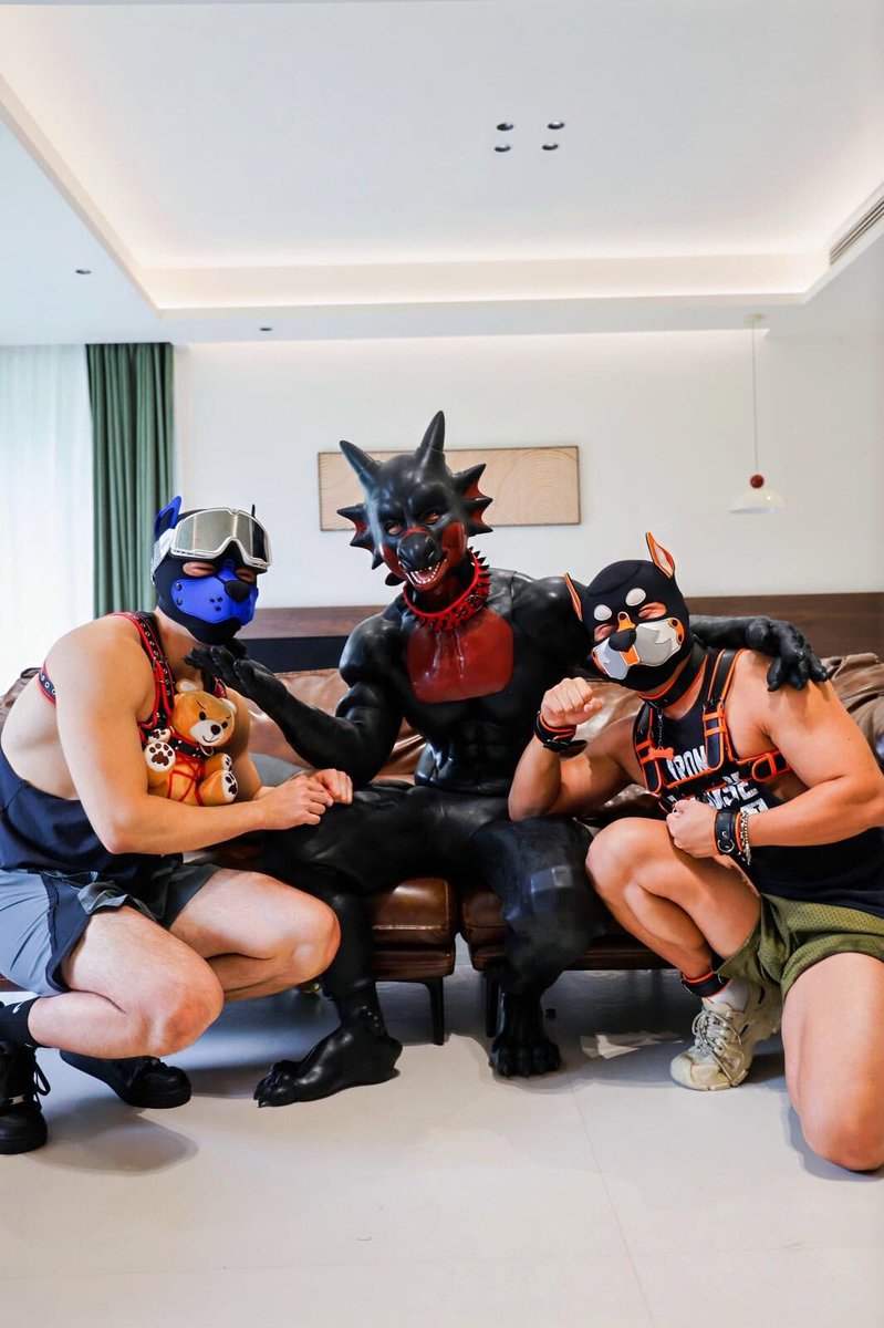 Wenn „humanoide Bestien“ im Rudel losziehen... 🐾
#furryfandom #maskfetish #transformation #pup #puppy