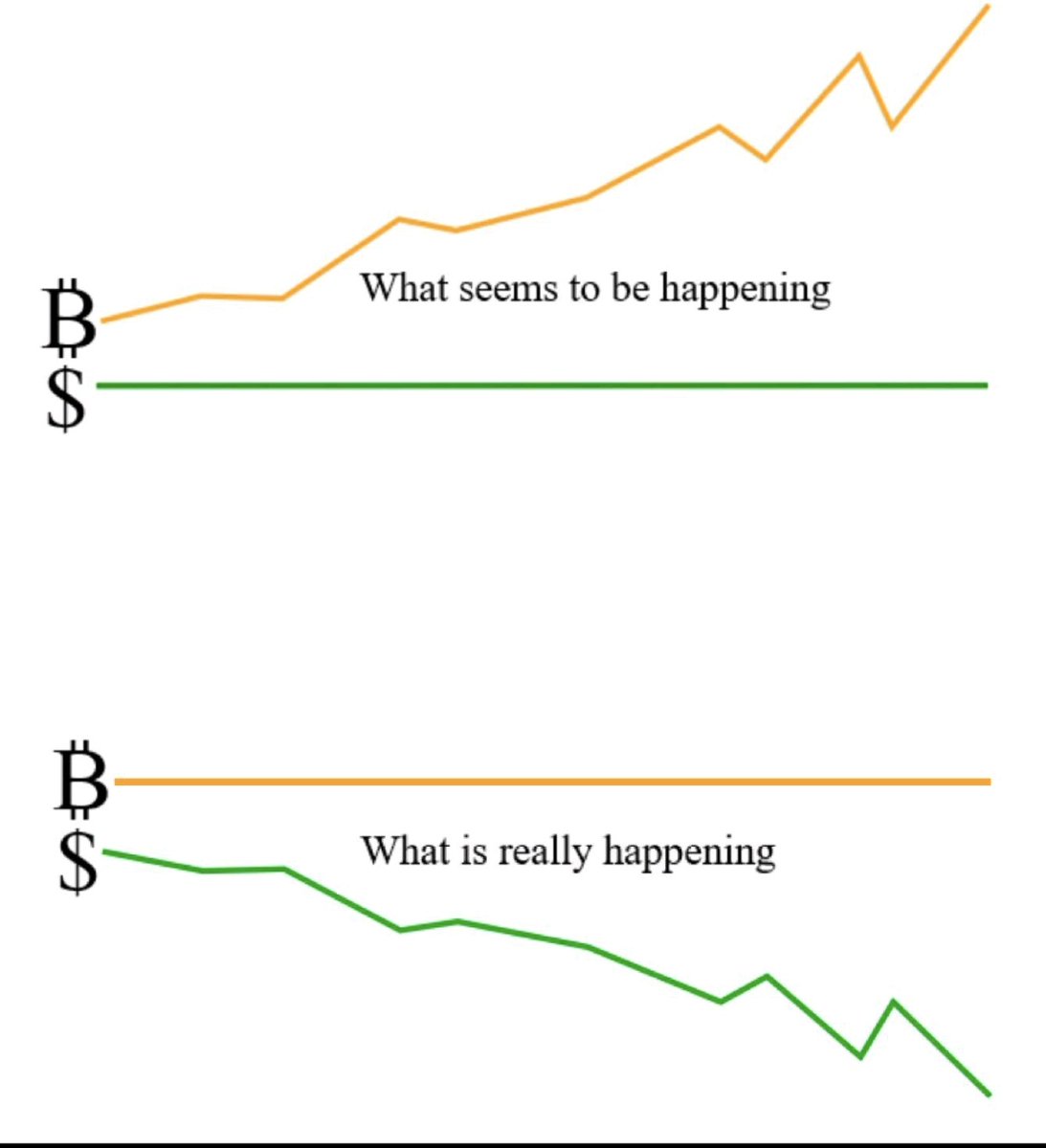 Real Timelines