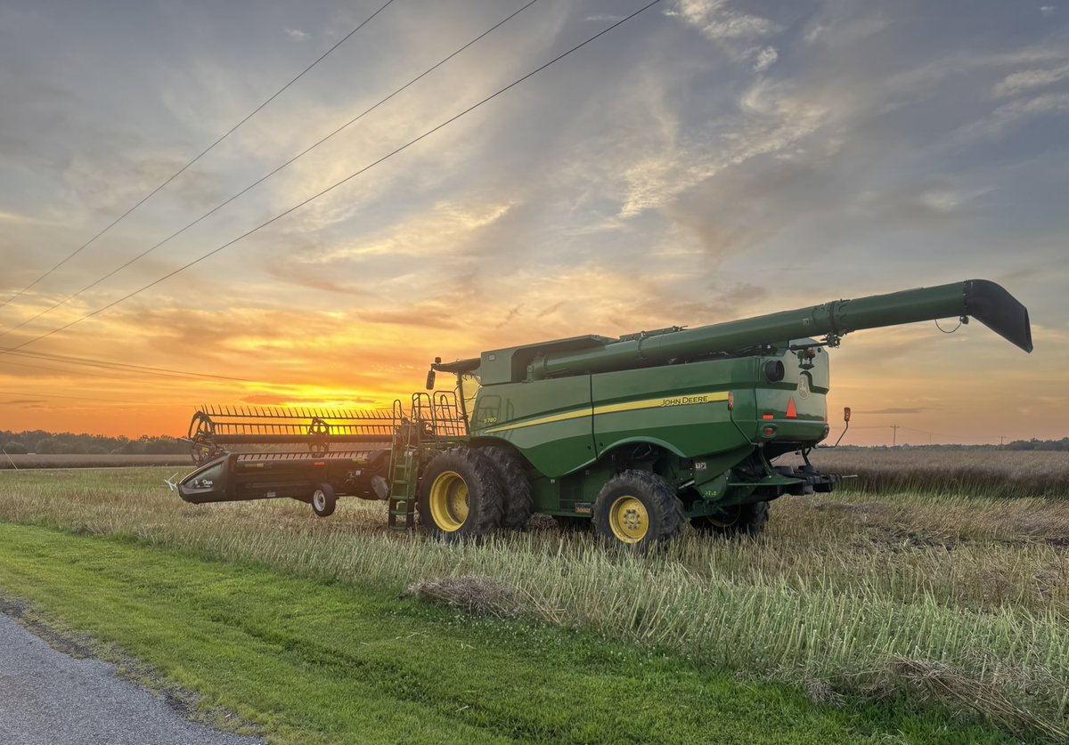 Monica Evans tweet media