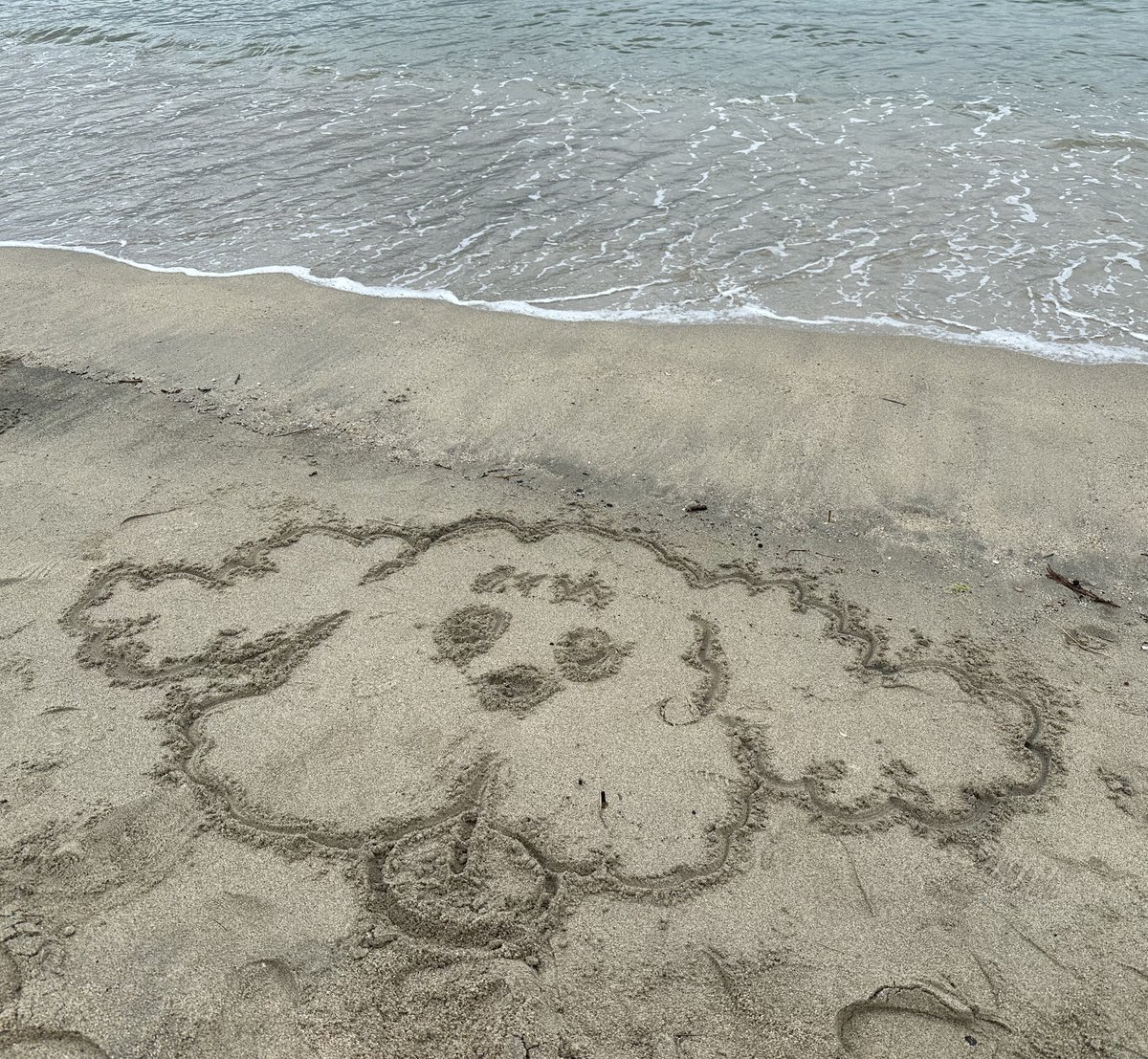 河上シェフ❄️️ tweet media